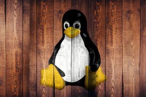 Linux Operating Sytem